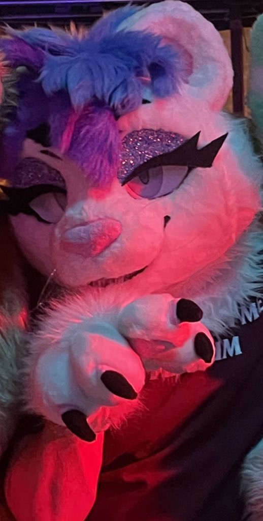 Alexander Rivercat tweet media