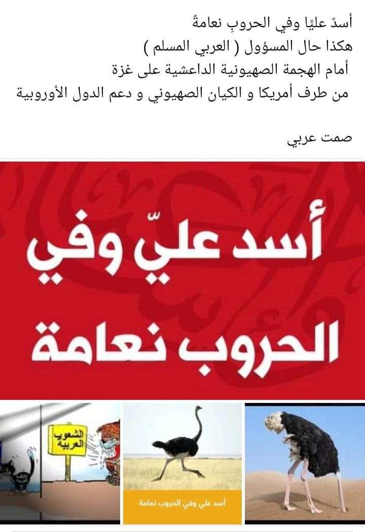 adil_elaoud's tweet photo. أُعلن أمام الله و الملأ رفض�� الدائم لهذا التطبيع الغير شرعي، مع هذا الكيان الصهيوني الحقير العفن 💩 المحتل . 
و نسأل الله أن يحشر صاحب فكرة التطبيع و الموافق عليها و من يدافع عنها سراً و علانيةً مع هذا الكيان النازي في نار 🔥جهنم يوم الحساب. https://t.co/pPQdaoYrBE