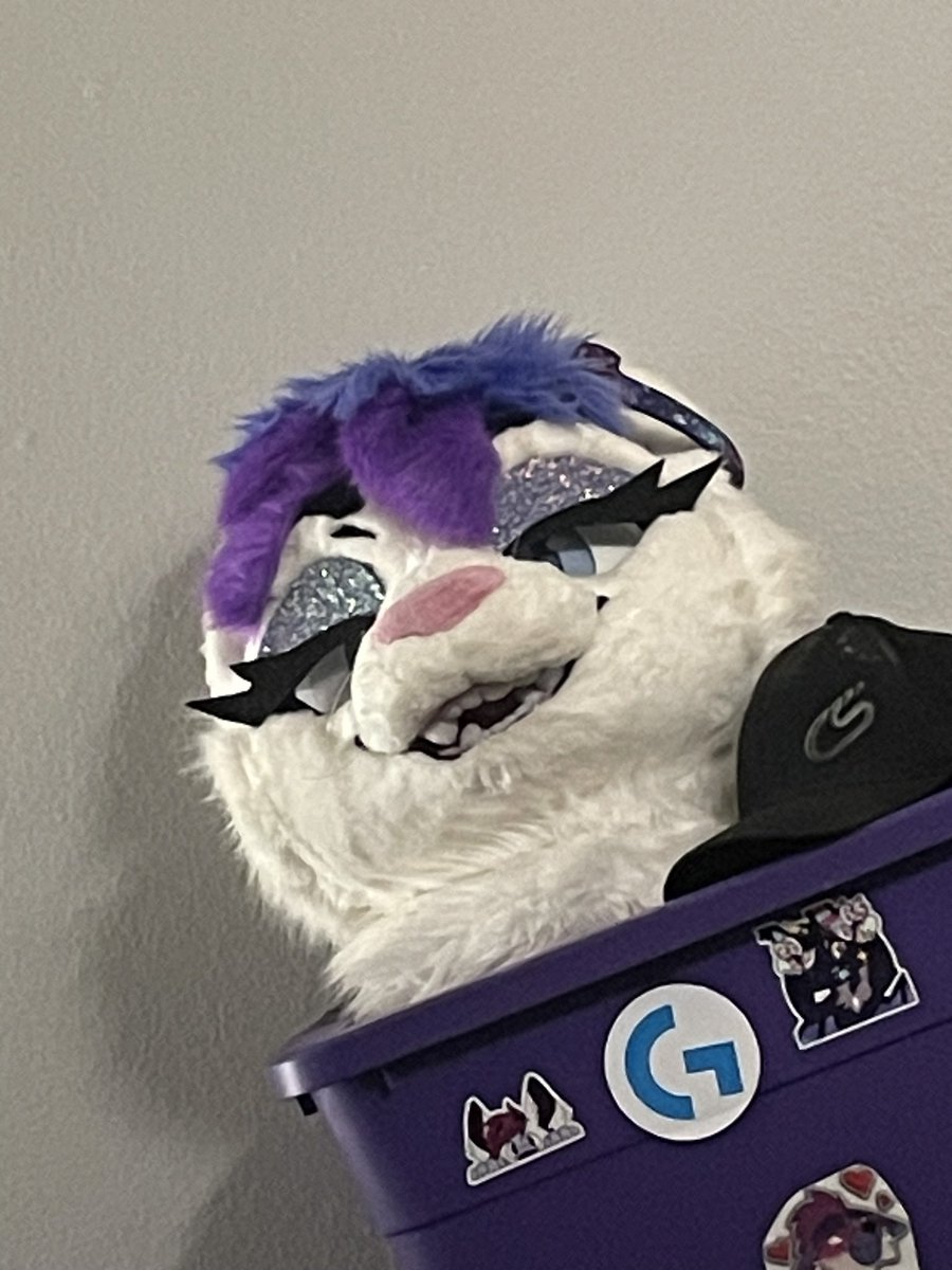 Alexander Rivercat tweet media