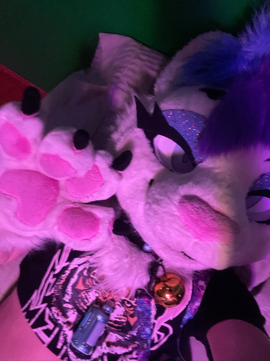 Alexander Rivercat tweet media