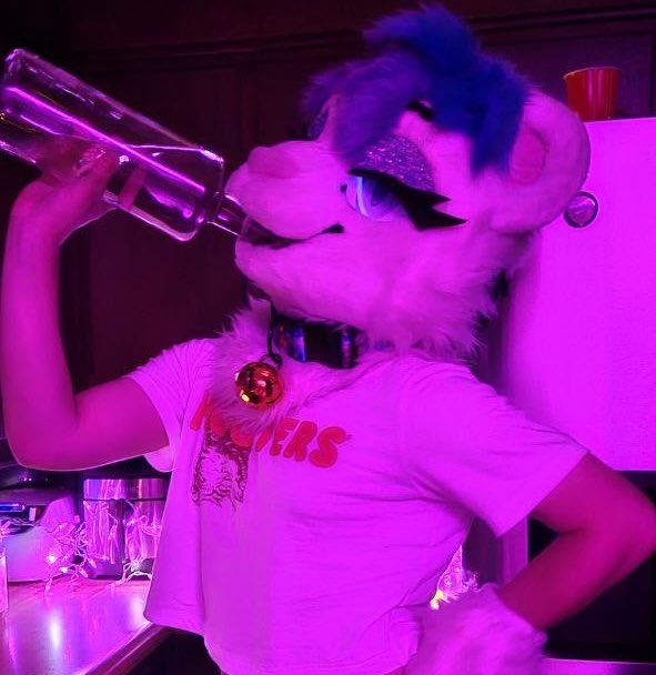 Alexander Rivercat tweet media