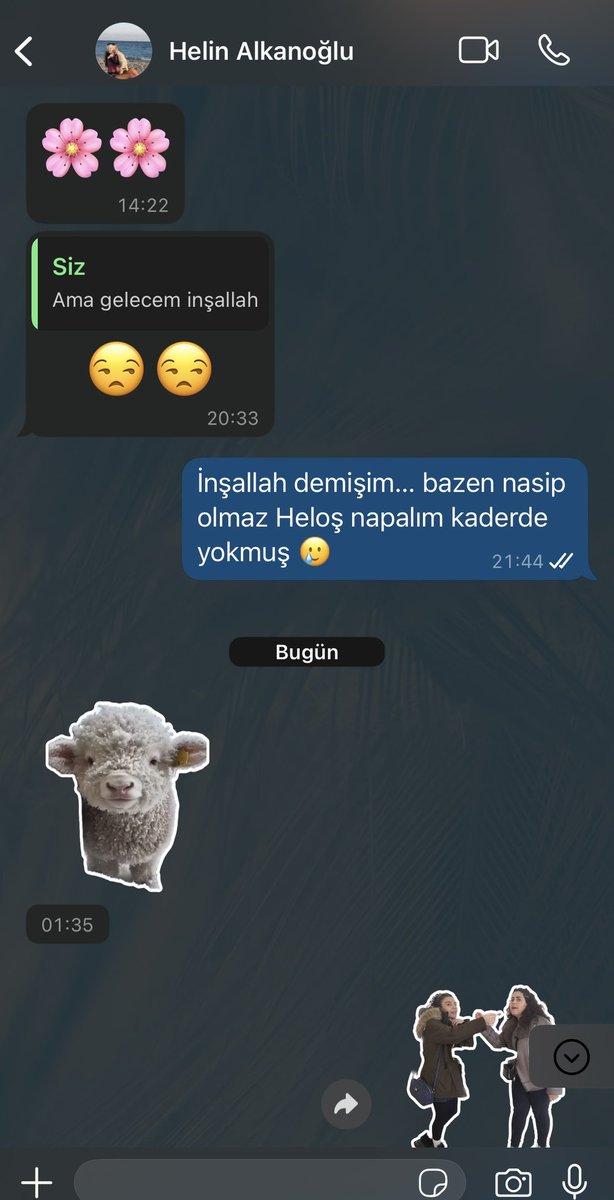 IldoganSena's tweet photo. Canım pilates hocam ve yakın arkadaşımla bazı ufak tatsızlıklar yaşadık ama halledicez 🥰🫶🏻 @AlkanogluH https://t.co/ErVDpetCJ8
