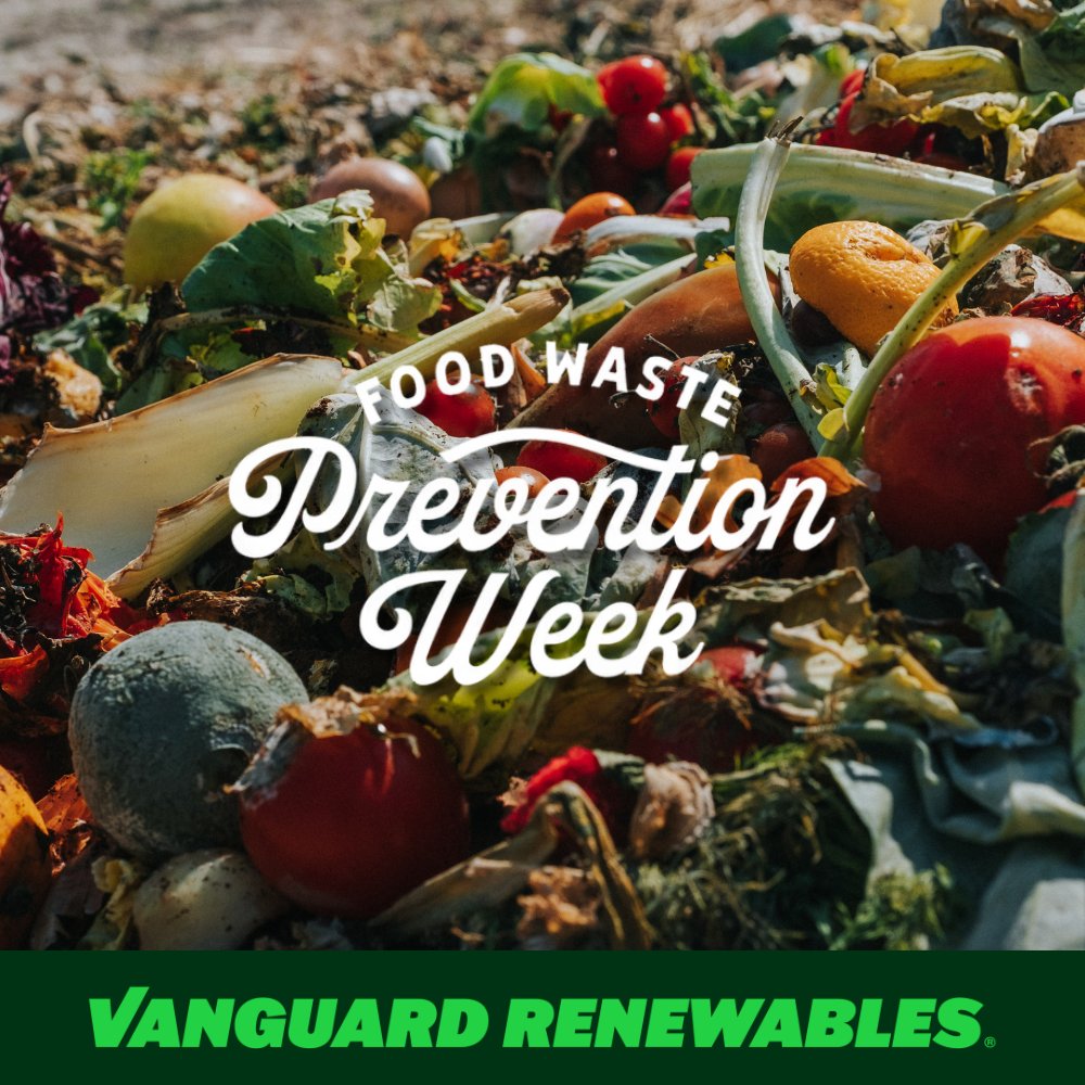 Vanguard Renewables tweet media