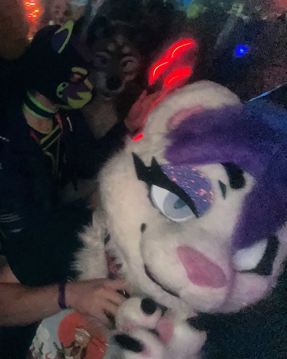 Alexander Rivercat tweet media