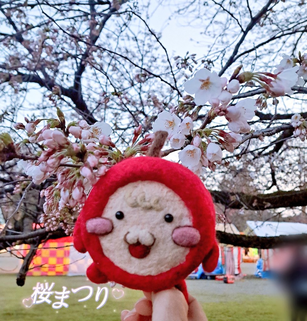 asu_ring0's tweet image. 2年前に『推し』も訪れてくれた地元の公園。
今年の桜まつりは、推し様のお友達🍎を連れて一緒に行って来たよ！
此方の地方はまだ蕾の方が多かったです。
春の匂いは草花が萌える芽生えの香り。
満開の桜も素敵だけれど、もうすぐ咲きそうな桜の蕾も前向きな気持ちになれるから大好き😌

#328組