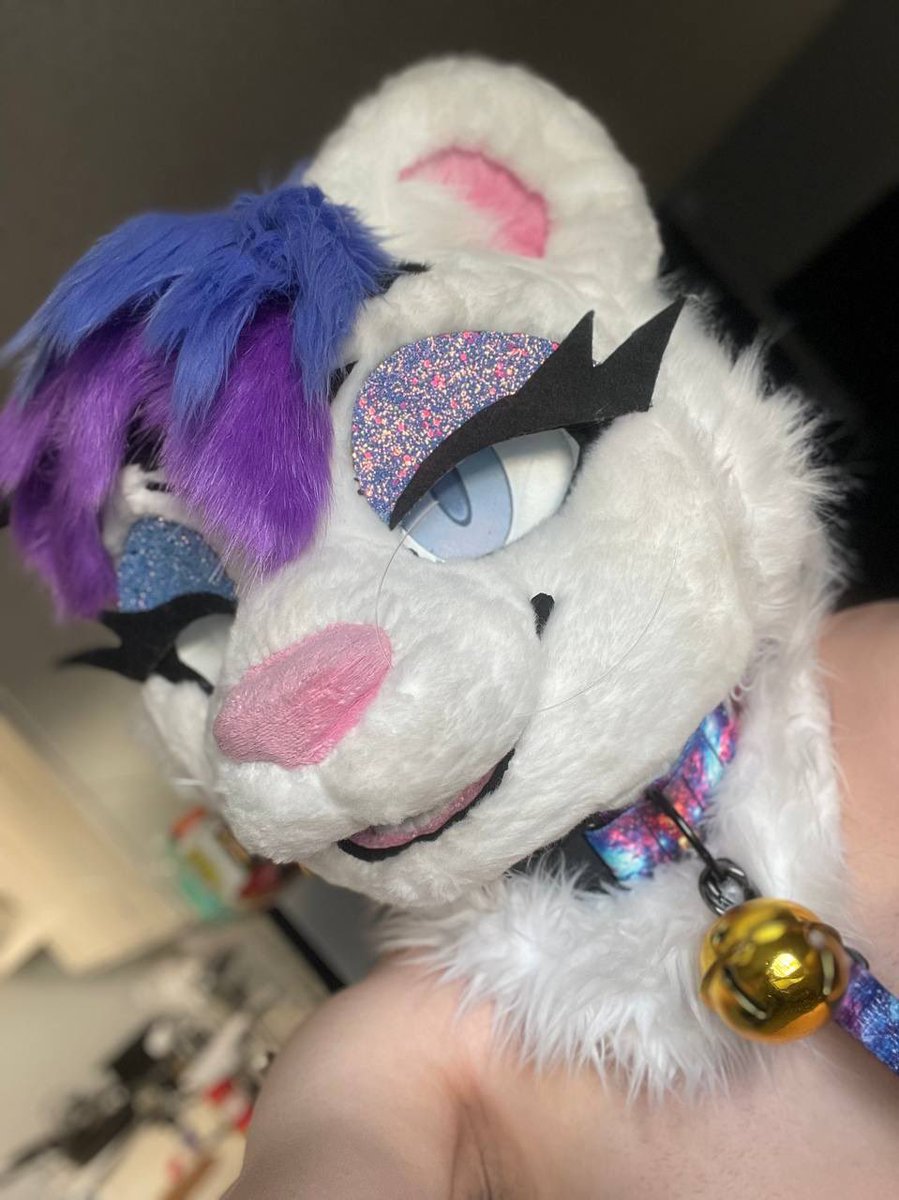 Alexander Rivercat tweet media