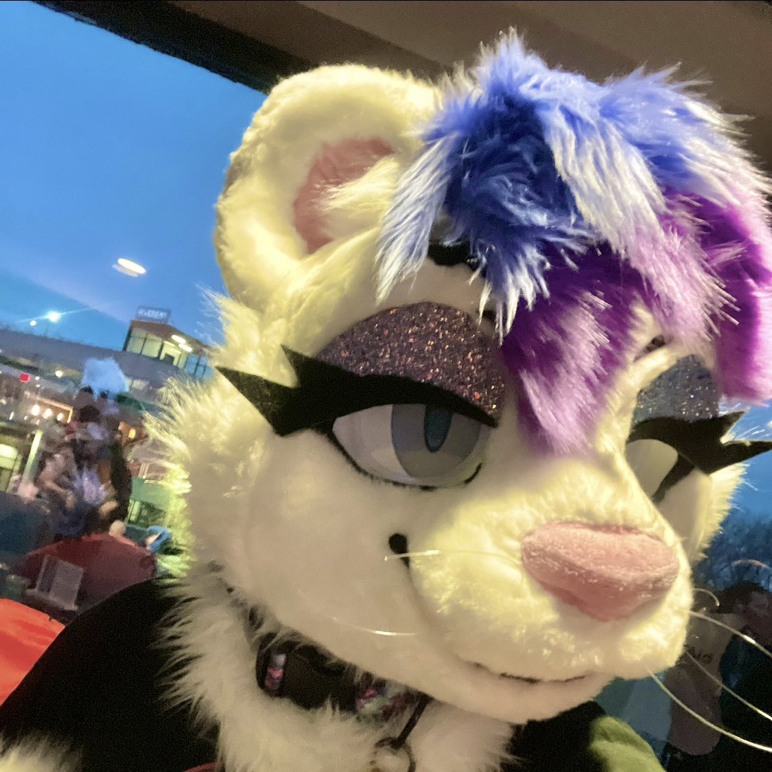 Alexander Rivercat tweet media