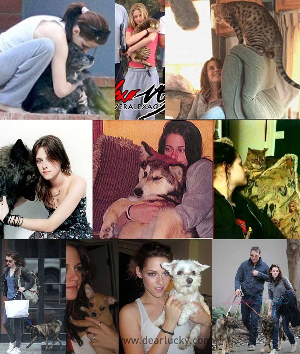 IlluminatedRKMafia/Battinson🦇/Oscars Nominee KS❤️ tweet media