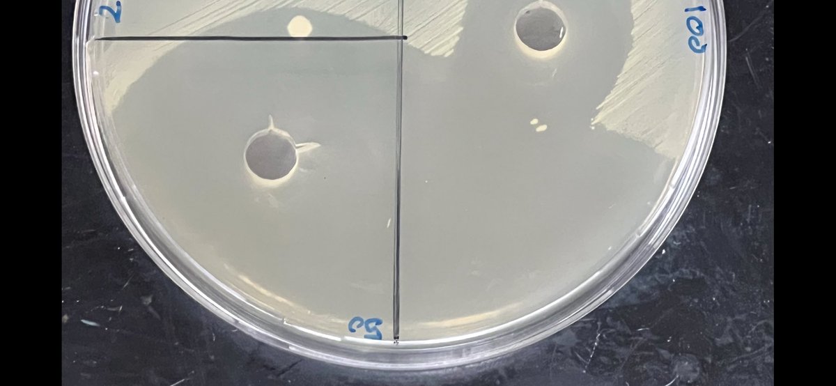 د. سلطان بن منصور الشريف tweet media