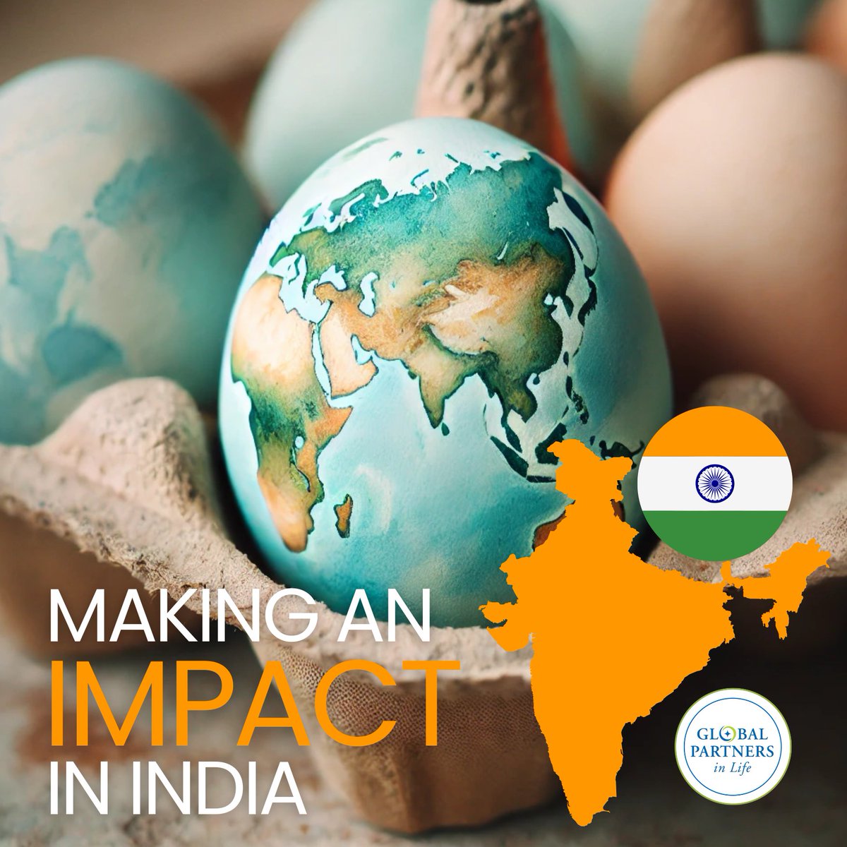 GPiL_1's tweet photo. We have egg-citing news! We are working with a partner school in America to raise funds for a chicken coop to support widows and orphans in India! We welcome groups, schools or other organizations to be a part of our mission at GPiL. https://t.co/tAAYDpUO4b https://t.co/u4PPL2klsU
