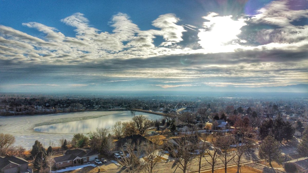 Layton FYI tweet media