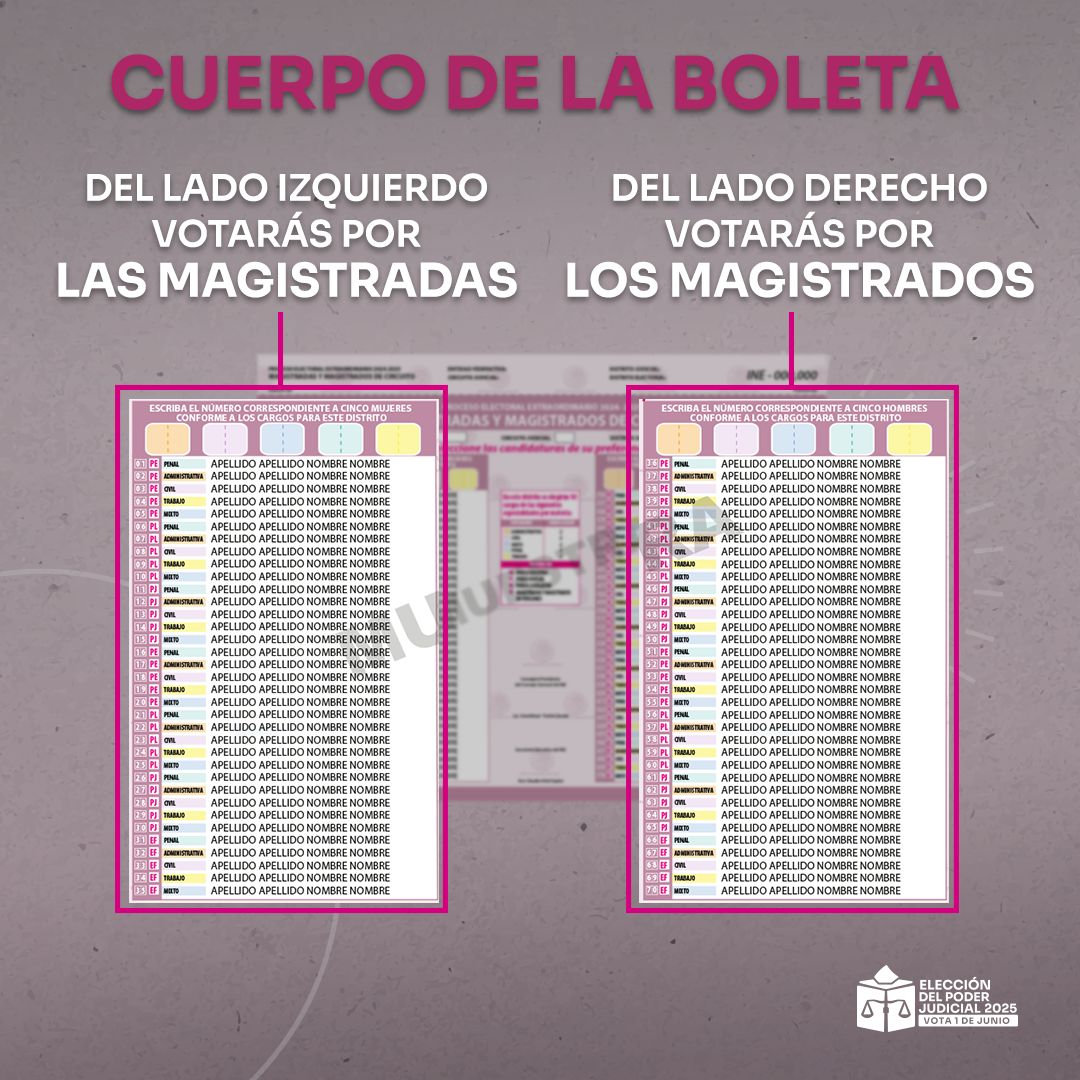 INEMexico's tweet photo. 🗳️ ¿Cómo marcar tu voto en la elección de Magistraturas de Circuito?

1️⃣ Encuentra los nombres de las candidaturas en la boleta. 
🔢 Localiza los números correspondientes a cada candidatura. 
✍️ Marca con dos dígitos en los recuadros indicados.

💡 Decide con información, tu voto hace la diferencia.

#VotaPoderJudicial2025mx