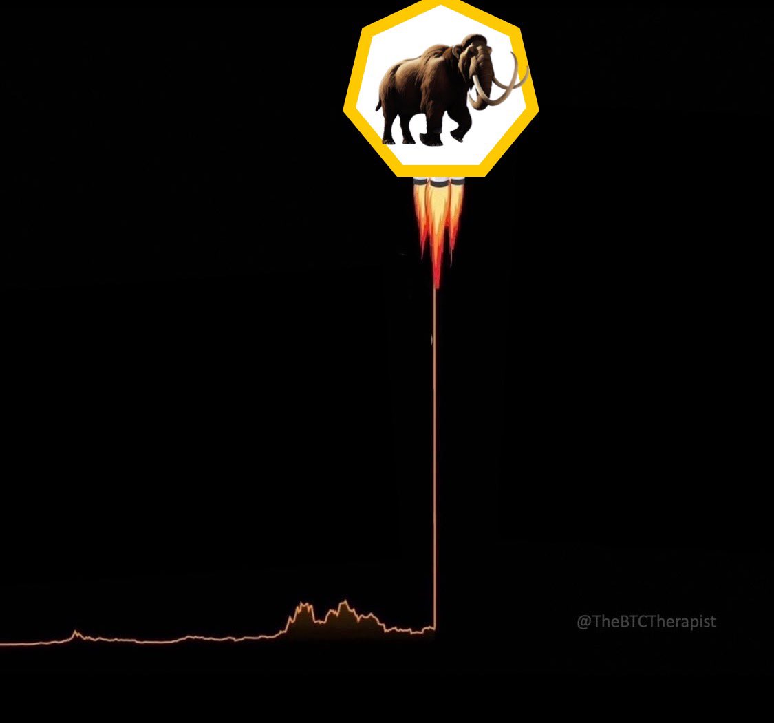 MammothMannyADA's tweet photo. We are back … 🚀 🌖 https://t.co/q8BBGYmCBc