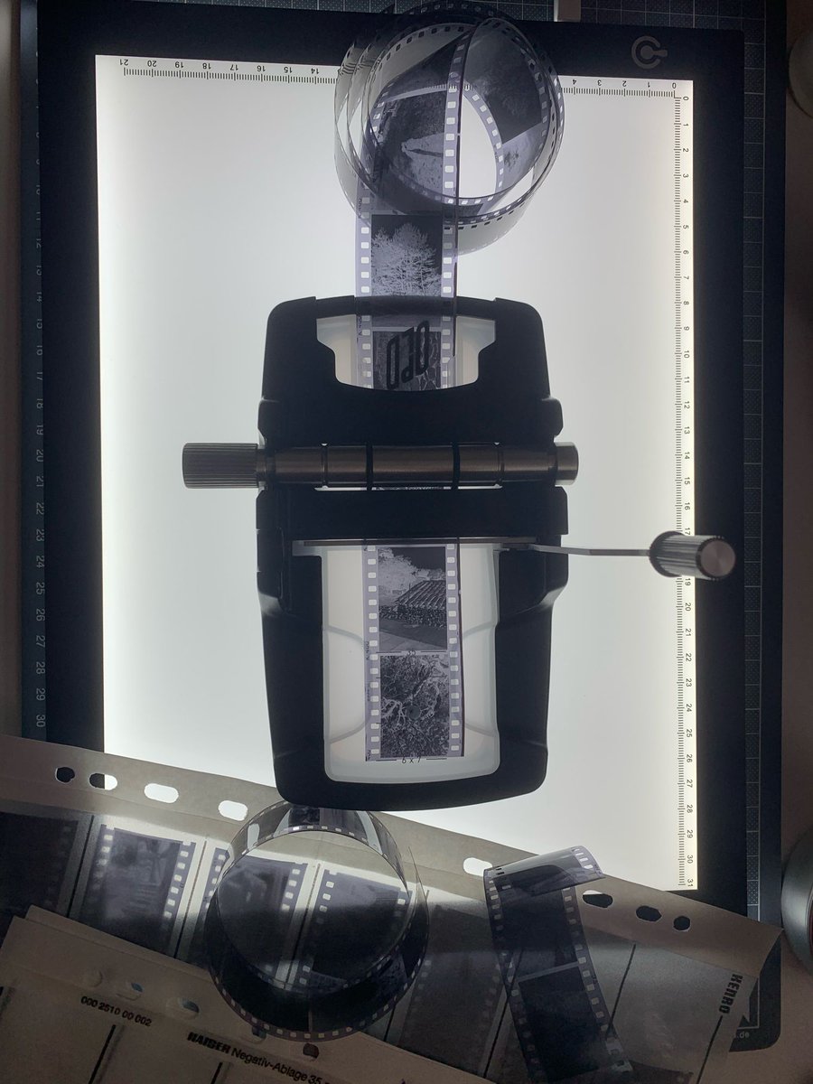 SupervoidTheory's tweet photo. Tonight activity: organising my negatives
#filmpgotography https://t.co/3vWGw1eFcQ