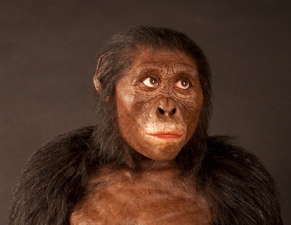 Our earliest ancestor:  Lucy
science.org/content/articl…