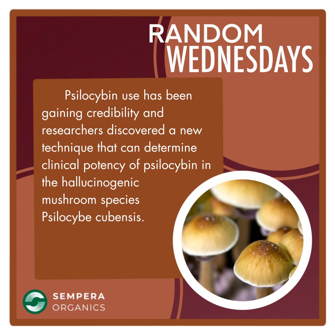 Sempera Organics tweet media