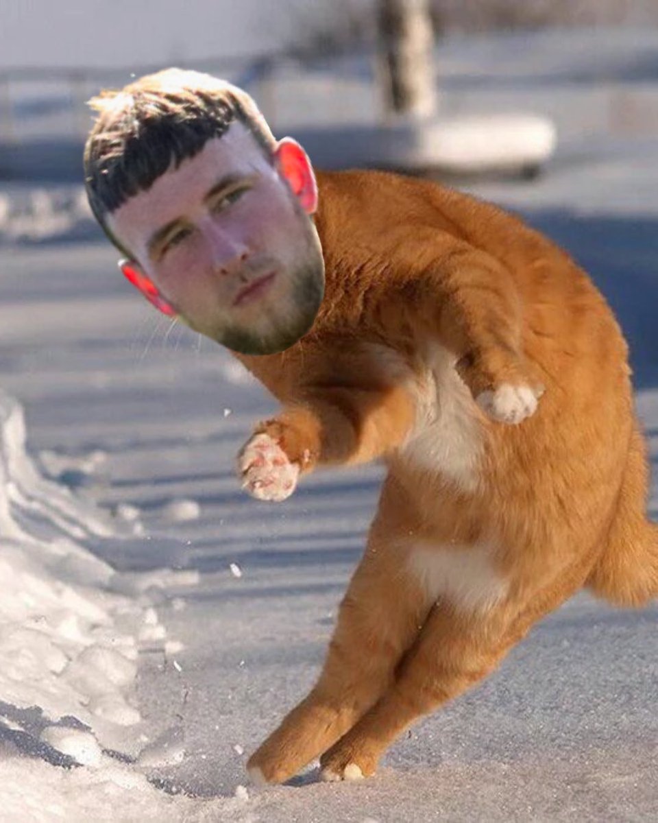 New Milton Town FC tweet media