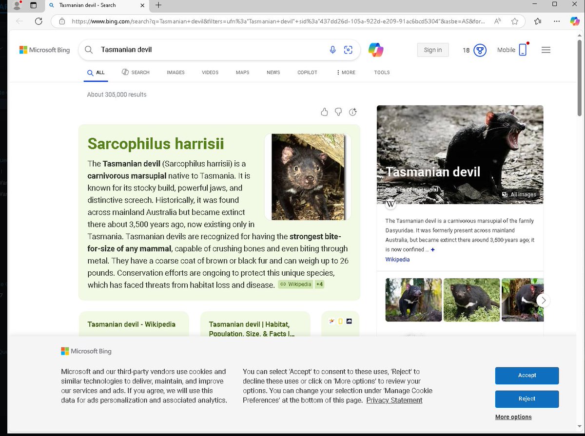 deadgnu1's tweet image. just tried to open task manager by typing "Tas" and then preemptively pressing enter. clearly windows is punishing me for my lack of patience.