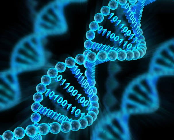 decoding_engg's tweet image. DNA can store petabytes of data in a single gram which is far more than any hard drive.
🚨Just 1 gram of DNA can store 215 petabytes (215 million GB) of data.
Bioengineers are developing molecular storage systems based on DNA’s four-letter code for massive data archiving.…