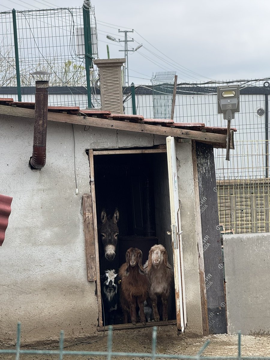 Patiliköyde çektiğim en güzel fotolardan biri..