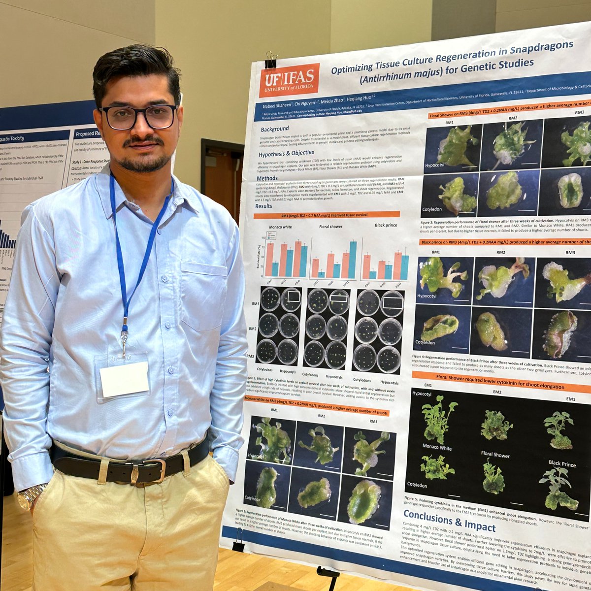 Yesterday, graduate student Nabeel Shaheen represented MREC at the 2025 Graduate Student Research Day, presenting his research “Optimizing Tissue Culture Regeneration in Snapdragons (Antirrhinum majus) for Genetic Studies.” 🌱