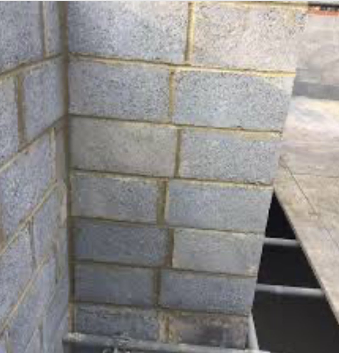 the cabinet of echoes tweet media