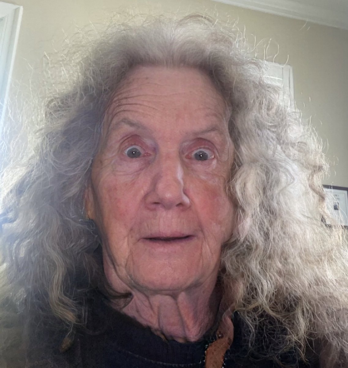 Rapidmain tweet media