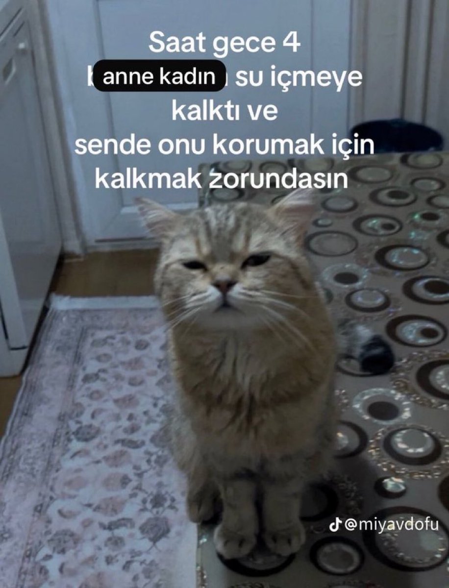 Out Of Context Animals (@cntxtanimai) on Twitter photo 