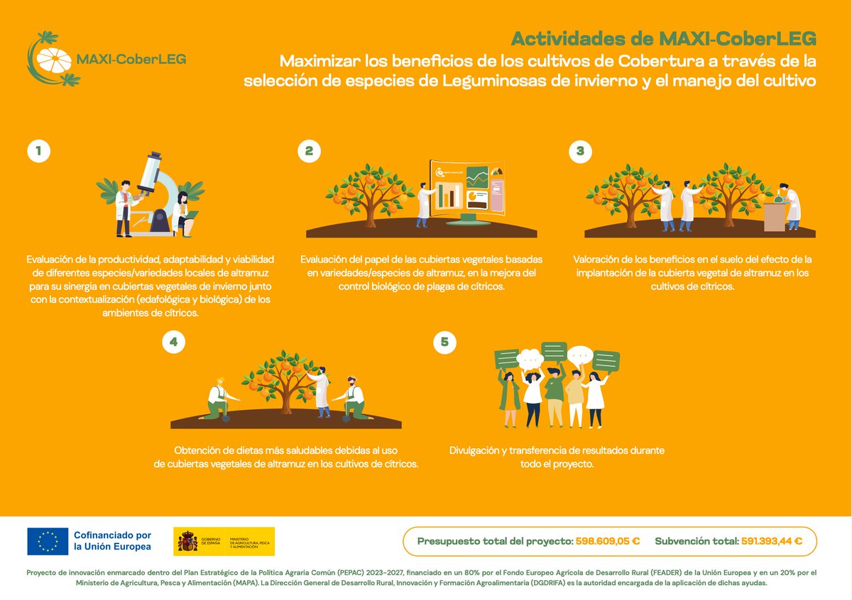 CEBAS-CSIC (@cebas_csic) on Twitter photo INVESTIGACIÓN |🔬Nuestra compañera Raquel Sanchez Pérez nos invita a conocer el proyecto <a href="/MAXI_CoberLEG/">GO MAXI-CoberLEG</a>
Descubre todo lo que nos pueden ofrecer las coberturas vegetales de altramuz en plantaciones de cítricos 🍋.
🔗Consulta la web del proyecto
maxi-coberleg.es INVESTIGACIÓN |🔬Nuestra compañera Raquel Sanchez Pérez nos invita a conocer el proyecto <a href="/MAXI_CoberLEG/">GO MAXI-CoberLEG</a>
Descubre todo lo que nos pueden ofrecer las coberturas vegetales de altramuz en plantaciones de cítricos 🍋.
🔗Consulta la web del proyecto
maxi-coberleg.es