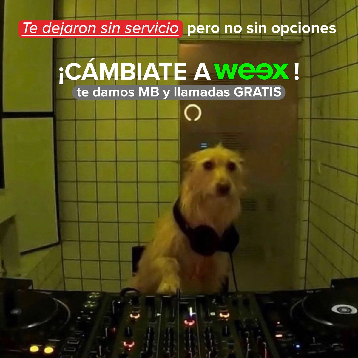 weexmx's tweet photo. 😭Si tu compañía está fallando, es el momento de por fin cambiar a Weex🍀
😎¡Trae tu número de siempre y te REGALAMOS MB Y LLAMADAS con tu portabilidad!😍
✅+ info en https://t.co/ILu5d2RxL8
#Weex #TelefoniaMX #Prepago #Portabilidad #Esim #mexicois #LlamadasGratis #HailWeex https://t.co/qqucwwgkgz