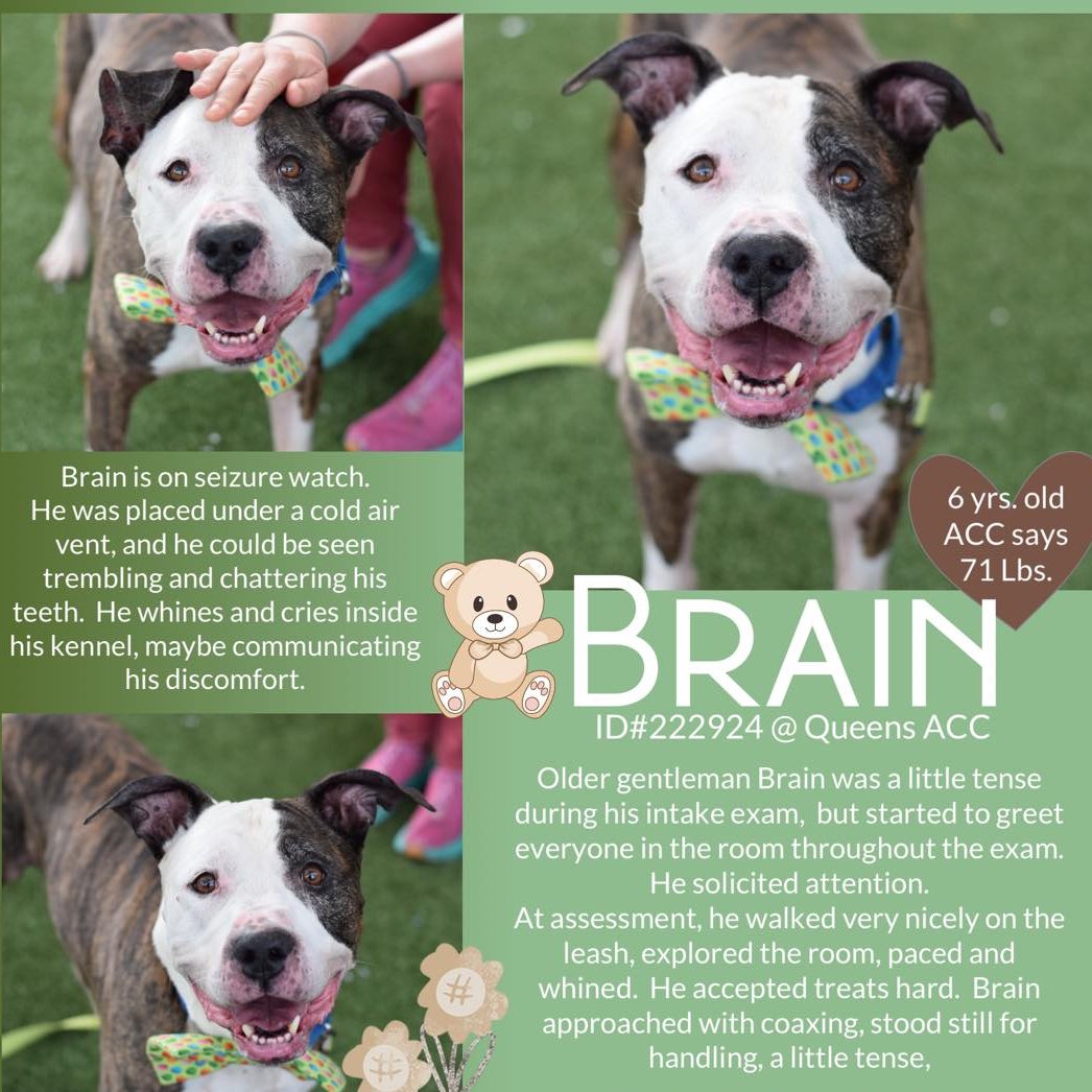 Not the Same tweet media