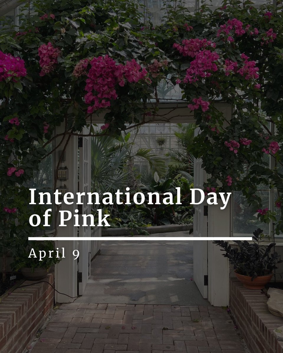 Stand up, speak out and stop bullying.

On this International Day of Pink, we are united in our commitment to creating a world where everyone can live authentically and proudly as their true selves.

#DayOfPink
