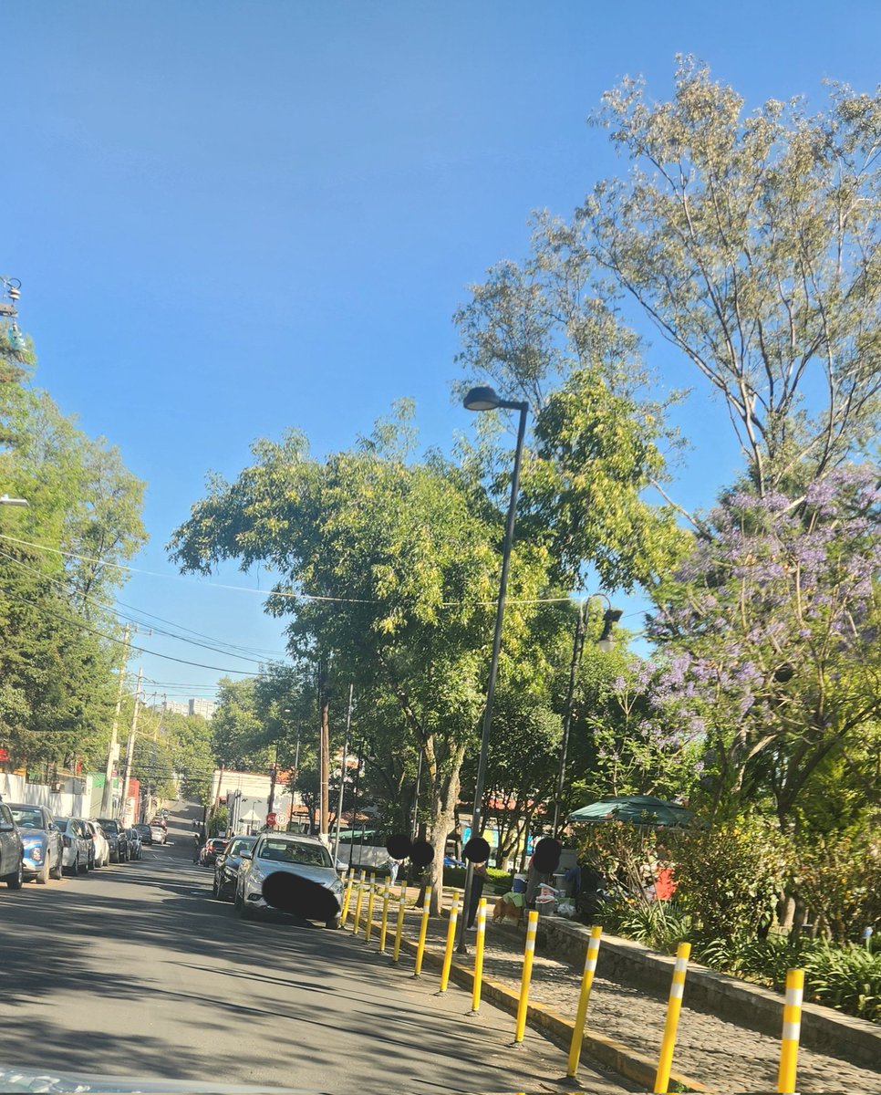 ortize68's tweet photo. @ALaMagdalenaC Buenas tardes, ojalá quitaran los carros que se estacionan en zona prohibida sobre Juárez a la altura del parque y el puesto de comida que se instaló en la ciclopista también esquina con Juárez. Gracias https://t.co/xBQrOAdRXK