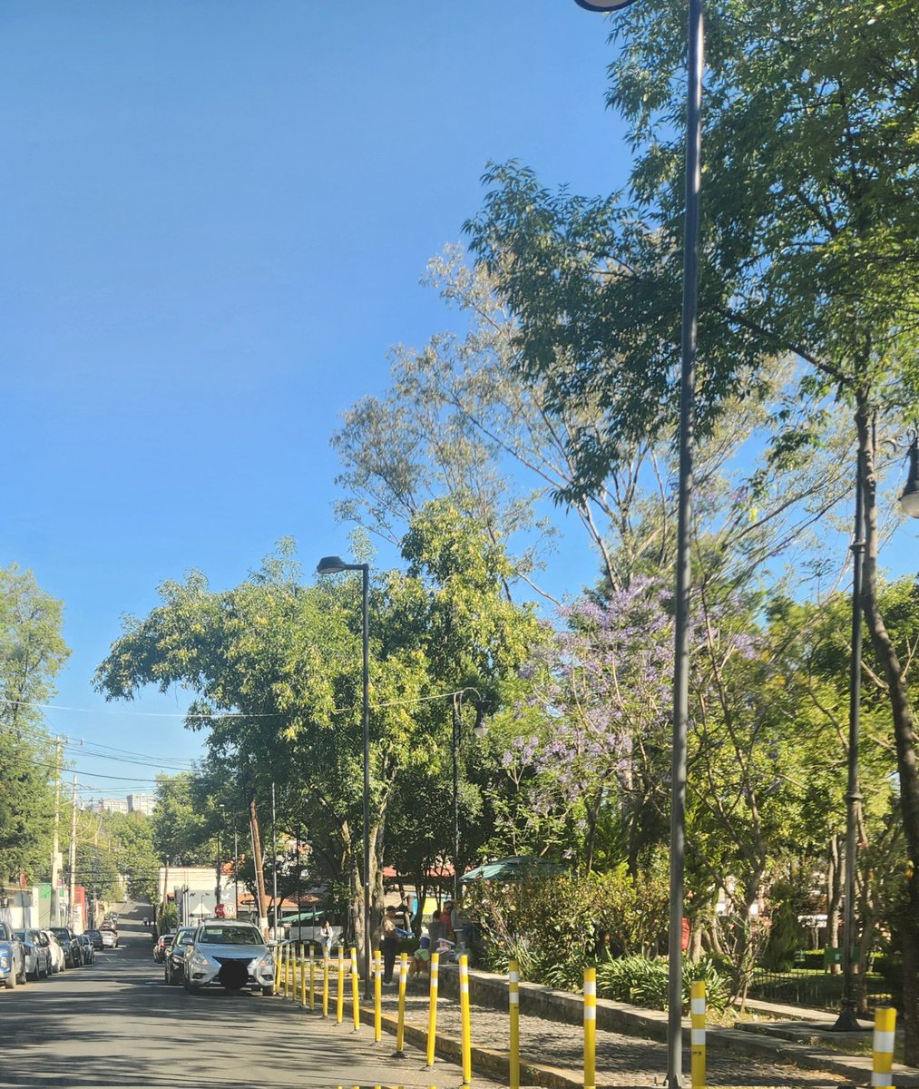 ortize68's tweet photo. @ALaMagdalenaC Buenas tardes, ojalá quitaran los carros que se estacionan en zona prohibida sobre Juárez a la altura del parque y el puesto de comida que se instaló en la ciclopista también esquina con Juárez. Gracias https://t.co/xBQrOAdRXK