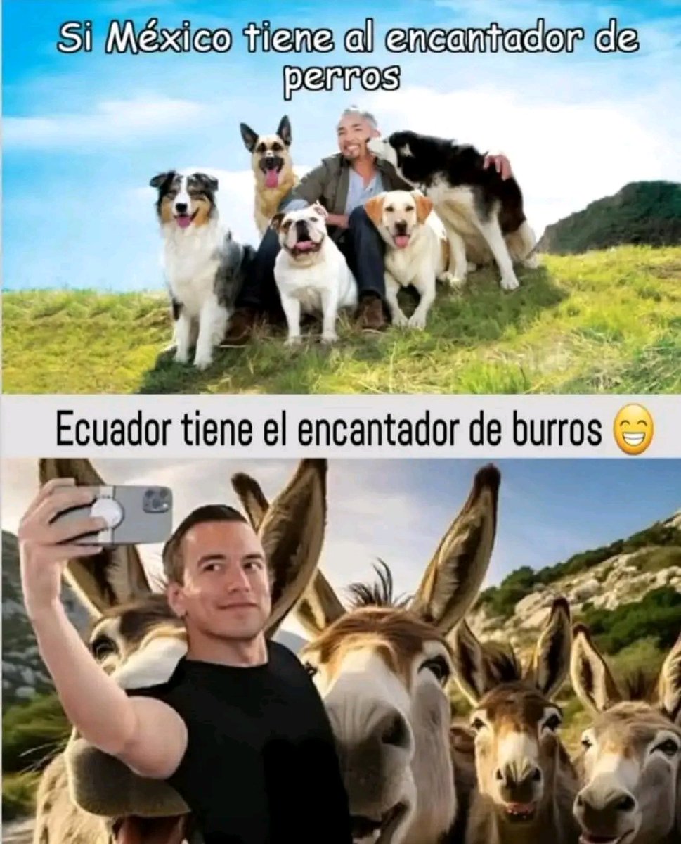 luisantonioavi3's tweet photo. @UrgenciaEcu https://t.co/nI9vw5uCvD