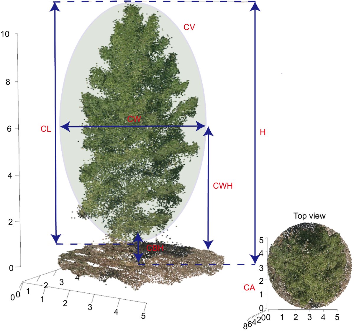 ForestryRes's tweet photo. #ForestryRes #majorboost #uav #gwas #pine
Study integrates UAV tech 🚁 with GWAS to enhance slash pine genomics. Identified 7 key traits with high heritability. 28 SNPs linked to morphological traits.
@MaximumAcademic @PlantMethods @GlobalPlantGPC
Details: https://t.co/GEY2BA7HK6 https://t.co/It8SQQZaYH