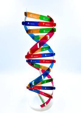 witzshared's tweet photo. How to stop #bioterrorists from buying #dangerous DNA
https://t.co/szbFDBCD4e https://t.co/yKifSEDssL