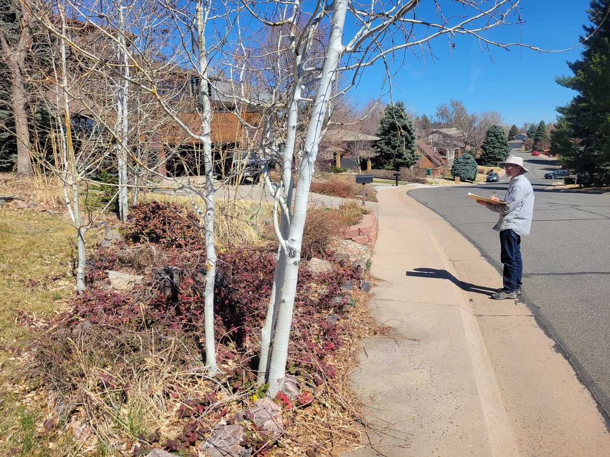 ODGdesign's tweet photo. Senior Associate and Landscape Architect Todd K. Rutherford enjoying the sunshine this week, dreaming up some creative design ideas for a new project in Lakewood! @outdoordesigngroup #landscapearchitecture https://t.co/02iWNloFDm