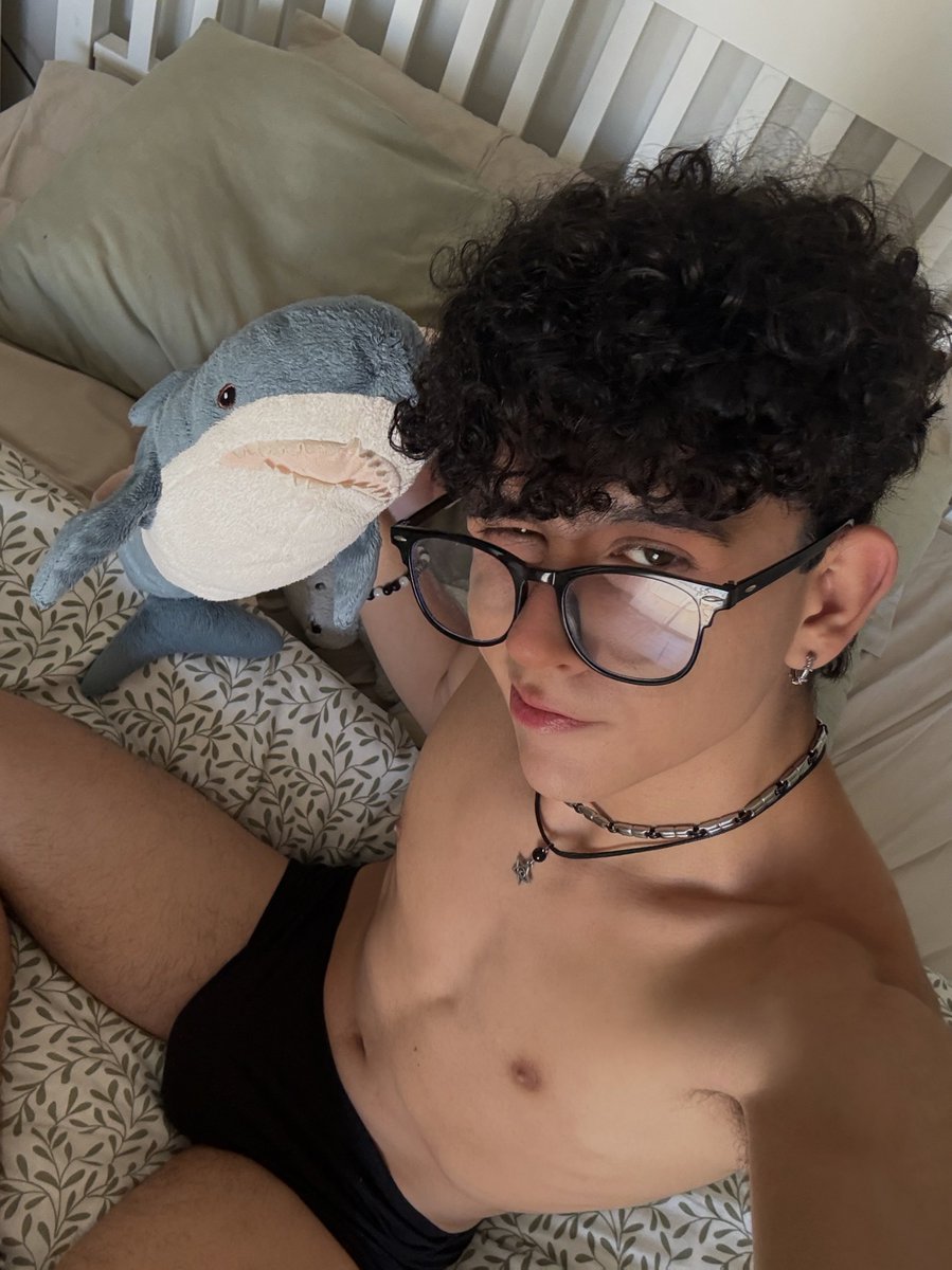 blahaj 🦈❤︎₊ ⊹