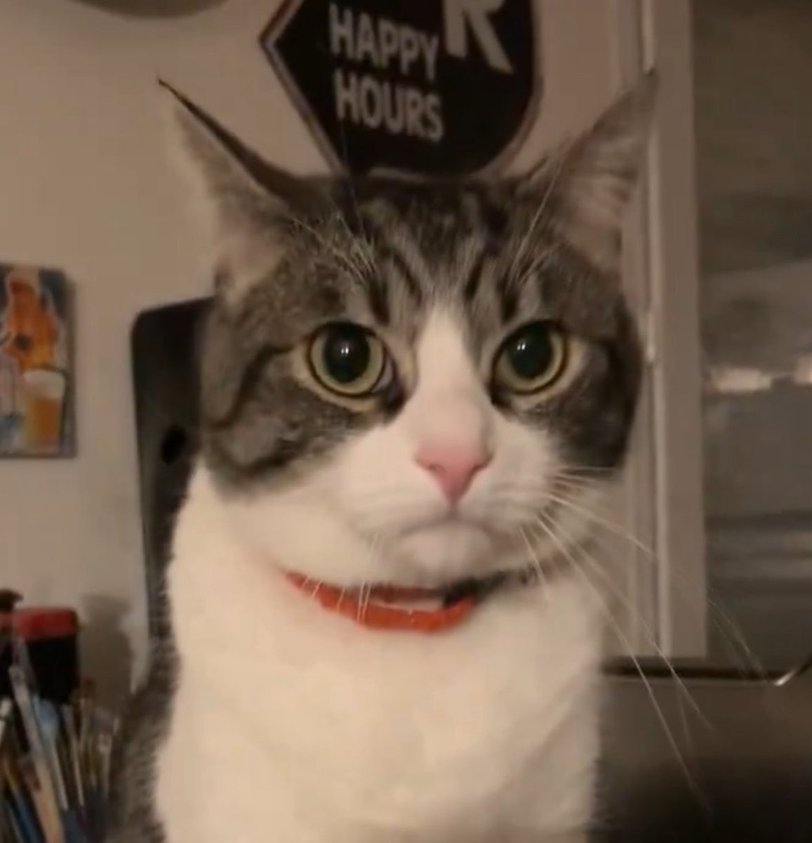 CrayonCool_'s tweet photo. Comment mon prof me regarde quand je lui dit que mon chat a bouffé mon DM https://t.co/wahkx2MEwH