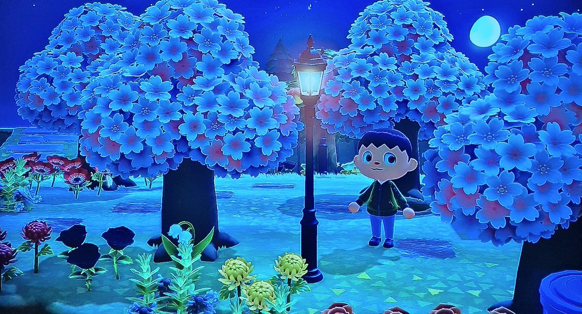 Heute  Abend mal auf Hopeland vorbeigeschaut.  Sanfte Brise und die Kirschblüte in vollen Zügen.  #AnimalCrossing #ACNH
