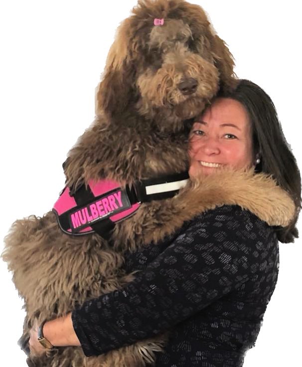 Just in case anyone thought the scale of dog to owner is exaggerated…. It’s not, <a href="/MulberryDeFloof/">Mulberry the Newfypoo</a> is enormous… this is last year, I can’t lift her now!😂