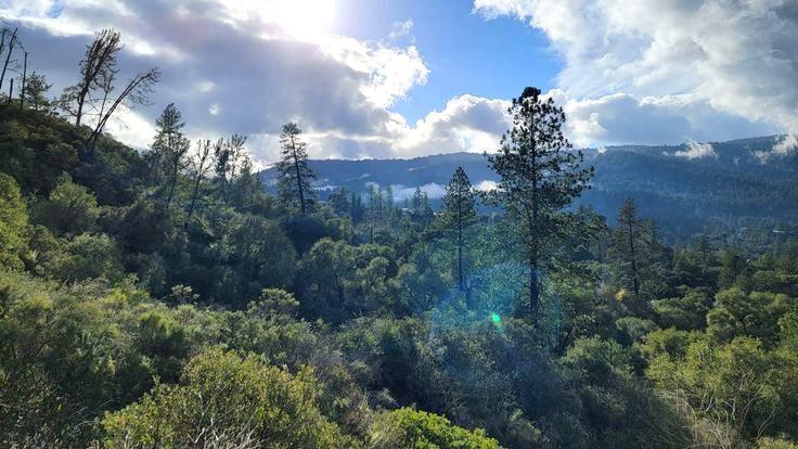 San Lorenzo Valley Post tweet media