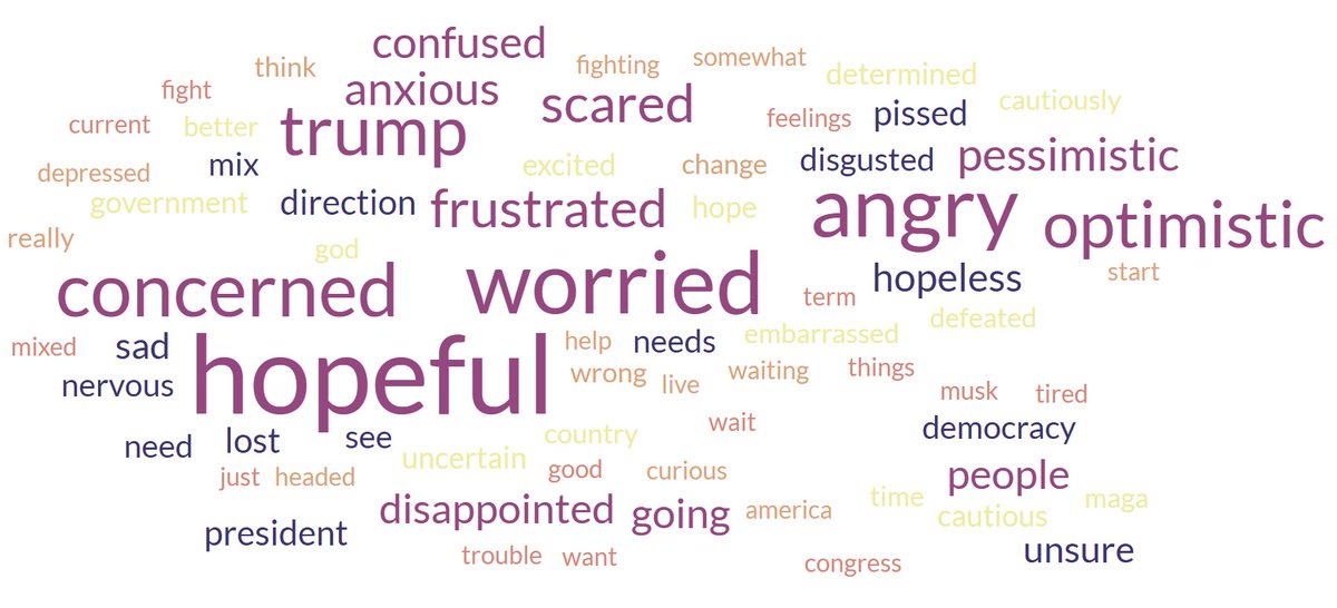 38% "optimistic &amp; excited," 35% "hopeless &amp; defeated," 12% felt some other way. Word cloud of the responses from that 12%: