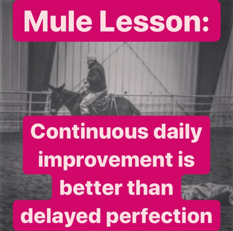 MarkCCEquine's tweet photo. #MuleLessons https://t.co/3dvJ6rukK0