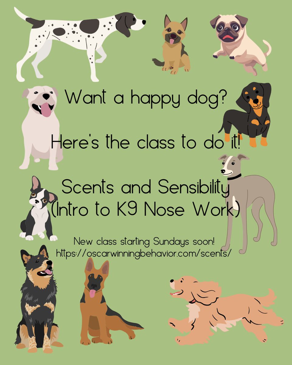 OscarWinning's tweet image. No previous training needed (for you *or* the dog) and nearly any physical ability can be accomodated.

oscarwinningbehavior.com/scents

#OscarWinningBehavior #BehaviorThatWinsRewards #NACSW #NoseWork
