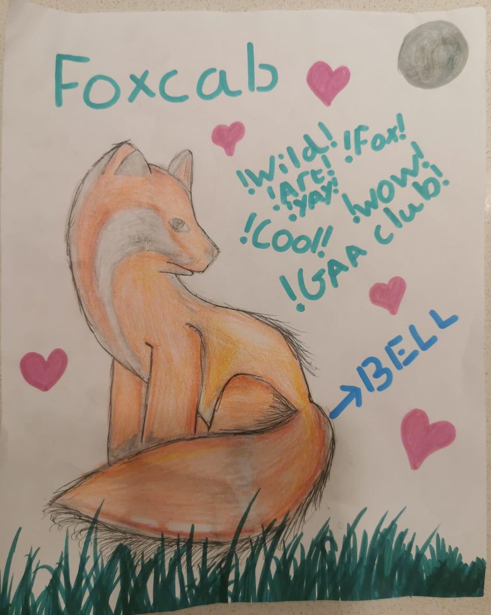 Congratulations to Gari who won the 2017s U8s ‘Design a FoxCab Mascot’ art challenge with this beautiful picture of ‘Bell’.  And well done to all the U8 girls who entered, it was very hard to choose a winner the entries were so good. 👏
