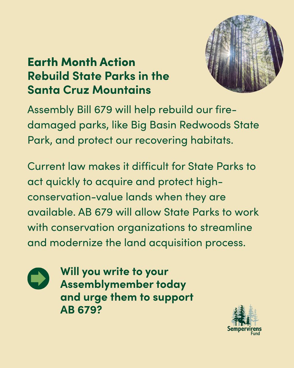 ⛰️Rebuild State Parks in the Santa Cruz Mountains ➡️ Urge your Assemblymember to support AB 679 to rebuild State Parks. During #EarthMonth, we’re sharing something you can do each week. Will you write to your Assemblymember today? secure.sempervirens.org/a/grow-parks-6…