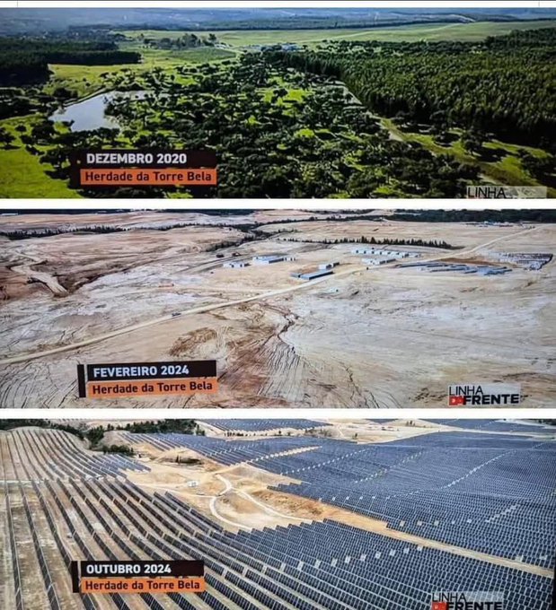 🚨🔴Las vacas NO están destruyendo el medio ambiente; los ambientalistas SÍ.

¿Estás de acuerdo?