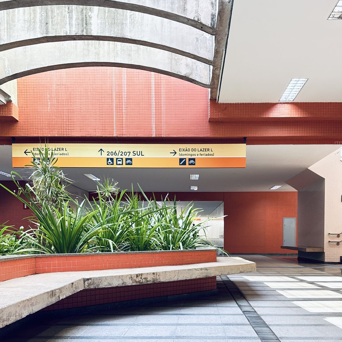 matheuscarvalhx's tweet photo. Oranges of the Brasilia metro https://t.co/bA5quRNEKR